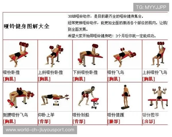 记录城市健身人群活跃度变化的新闻分析数据模型，健身人群数量